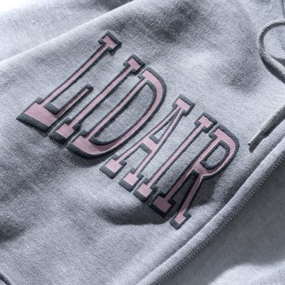 College logo zip hoodie "Grey"